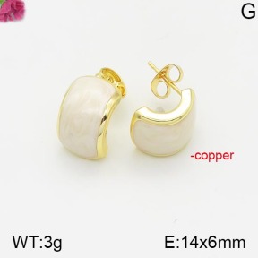 Fashion Copper Earrings  F5E401415abol-J147