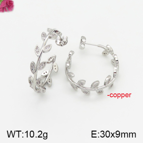Fashion Copper Earrings  F5E401430bvpl-J147