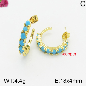 Fashion Copper Earrings  F5E401454abol-J147