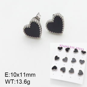 Stainless Steel Earrings  5E4001976ahpv-436