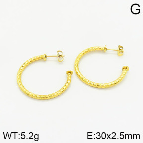 Stainless Steel Earrings  2E2001671aajl-355