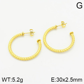 Stainless Steel Earrings  2E2001673aajl-355