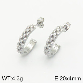 Stainless Steel Earrings  2E2001680bbml-434