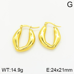 Stainless Steel Earrings  2E2001684bbov-434