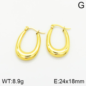 Stainless Steel Earrings  2E2001685bbov-434