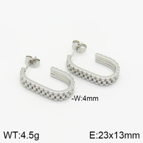 Stainless Steel Earrings  2E2001686vbnb-434