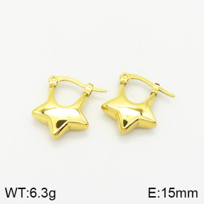 Stainless Steel Earrings  2E2001689vhha-669