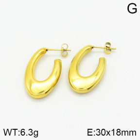 Stainless Steel Earrings  2E2001690bhva-669