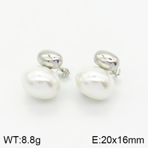 Stainless Steel Earrings  2E3001307bhia-669