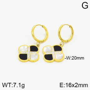 Stainless Steel Earrings  2E4002080vbnl-434