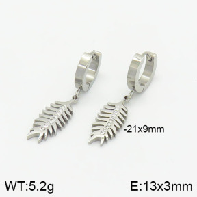 Stainless Steel Earrings  2E4002081ablb-434