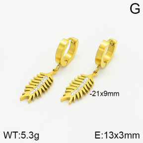 Stainless Steel Earrings  2E4002082vbll-434