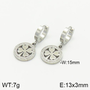 Stainless Steel Earrings  2E4002085bbml-434
