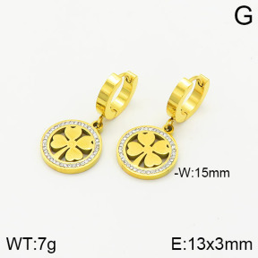 Stainless Steel Earrings  2E4002086vbnb-434