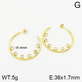 Stainless Steel Earrings  2E4002089vhkb-669