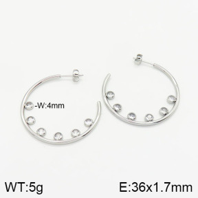 Stainless Steel Earrings  2E4002090vhkb-669