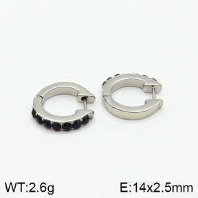Stainless Steel Earrings  2E4002098vhha-900