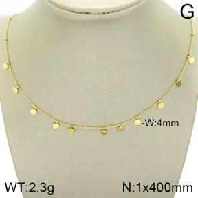 Stainless Steel Necklace  2N2002775vbpb-493