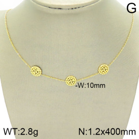 Stainless Steel Necklace  2N2002784bbov-493