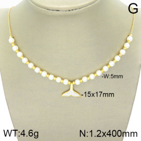 Stainless Steel Necklace  2N3001054bbov-434