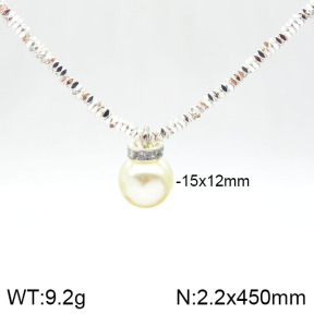 Stainless Steel Necklace  2N3001062vhhl-434