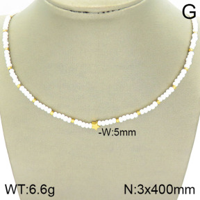 Stainless Steel Necklace  2N3001078bbov-493