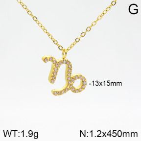 Stainless Steel Necklace  2N4001573abol-355
