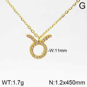 Stainless Steel Necklace  2N4001575abol-355