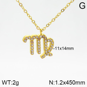 Stainless Steel Necklace  2N4001576abol-355