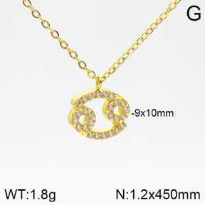 Stainless Steel Necklace  2N4001580abol-355