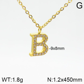Stainless Steel Necklace  2N4001583abol-355