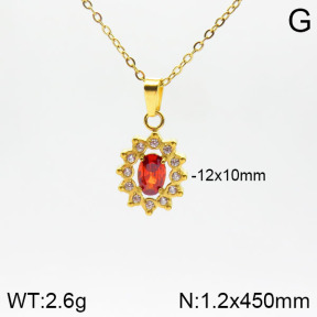 Stainless Steel Necklace  2N4001608vbpb-355