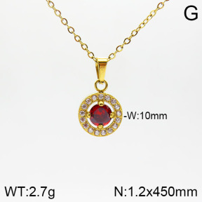 Stainless Steel Necklace  2N4001611vbpb-355