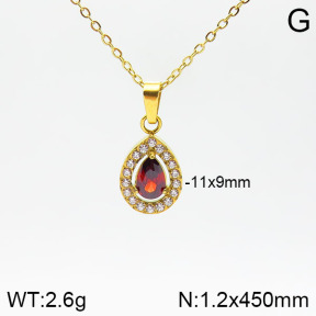 Stainless Steel Necklace  2N4001612vbpb-355