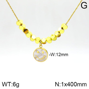 Stainless Steel Necklace  2N4001614bbml-434