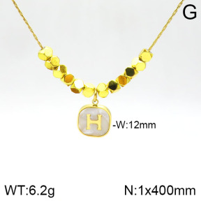 Stainless Steel Necklace  2N4001615bbml-434