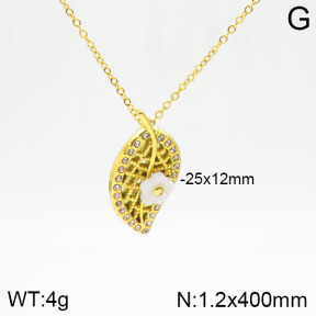 Stainless Steel Necklace  2N4001619bbov-493