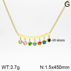 Stainless Steel Necklace  2N4001643vbpb-493