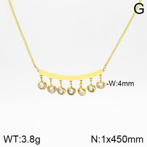 Stainless Steel Necklace  2N4001644vbpb-493