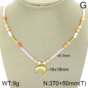 Stainless Steel Necklace  2N4001664bhva-493