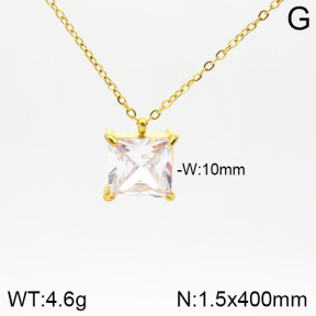 Stainless Steel Necklace  2N4001670vbpb-900