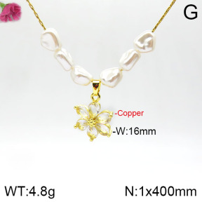 Fashion Copper Necklace  F2N300075vbnb-J158