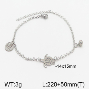 Stainless Steel Anklets  5A9000688ablb-610
