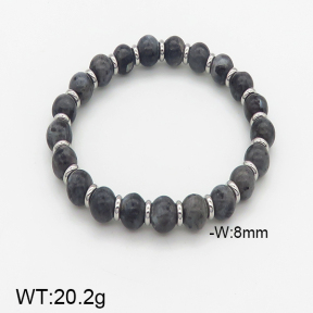Stainless Steel Bracelet  5B4001998bhva-232