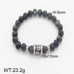 Stainless Steel Bracelet  5B4002002vhha-232