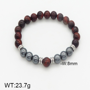 Stainless Steel Bracelet  5B4002012bhva-232