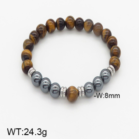 Stainless Steel Bracelet  5B4002013bhva-232