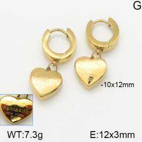 Stainless Steel Earrings  5E2002179ablb-743