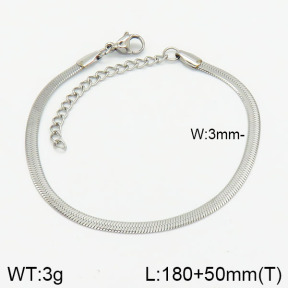 Stainless Steel Bracelet  2B2002022vaia-368