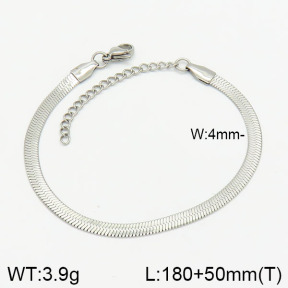 Stainless Steel Bracelet  2B2002023aaij-368